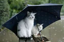 В Украину идет похолодание