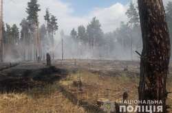 У Херсонській області зайнялася хвоя на площі приблизно 1,2 га (фото)