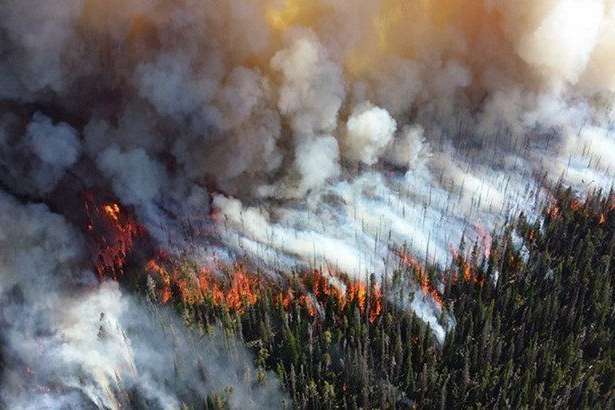 В Сибири из-за масштабных лесных пожаров ввели режим чрезвычайной ситуации