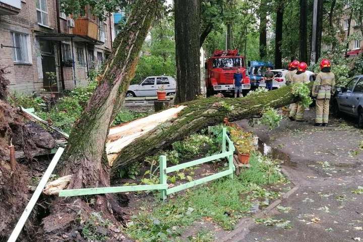 Негода у Києві: рятувальники прибрали повалені дерева