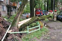 Негода у Києві: рятувальники прибрали повалені дерева