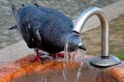 В Киеве сегодня жара ослабеет до +26 градусов. В дальнейшем температура воздуха в столице снизится еще на несколько градусов