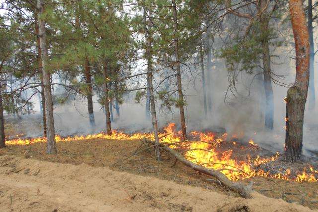 На Дніпропетровщині через пожежі оголосили надзвичайний стан 