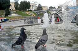 В Киеве 31 июля в течение дня ожидаются комфортные +24 градуса, солнышко и белые облака