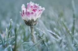 Синоптики дали прогноз погоди на серпень: можливі заморозки