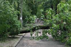 На Запоріжжі ураган пошкодив дахи будинків та повалив дерева 