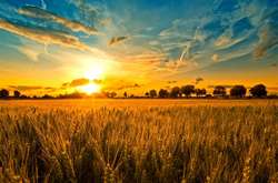 Синоптик розповіла, яким буде початок серпня в Україні