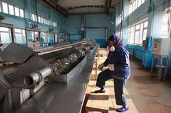 Київ тоне у смітті: щодня на Бортницьку станцію потрапляє понад 4 тонни відходів