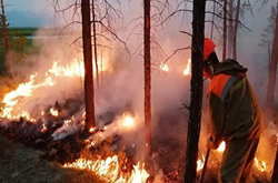 Трамп запропонував Путіну допомогти з пожежами в Сибіру