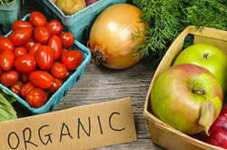 В Україні закон про органічну продукцію набув чинності