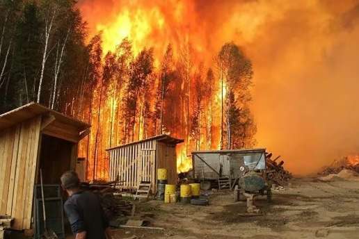 Росія вже втратила через лісові пожежі 2,4 млрд рублів