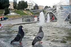 Липень став рекордно холодним для Києва