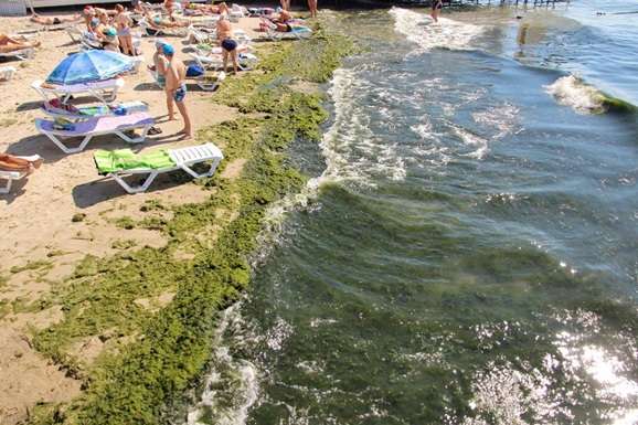 В Одесі не рекомендують купатися на всіх пляжах