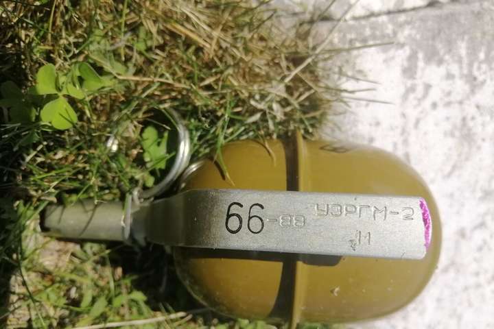Під Києвом на узбіччі дороги виявили гранату (фото)