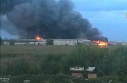 На Васильківській птахофабриці під Києвом спалахнула масштабна пожежа