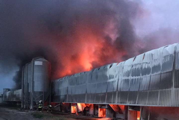 ДСНС: пожежу ангару на території птахофабрики на Київщині ліквідовано