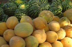 Ароматні дині, солодкі кавуни за низькими цінами: киян кличуть на ярмарки (адреси)