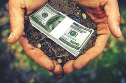 ОПЗЖ: Без референдума открытие рынка земли не должно состояться