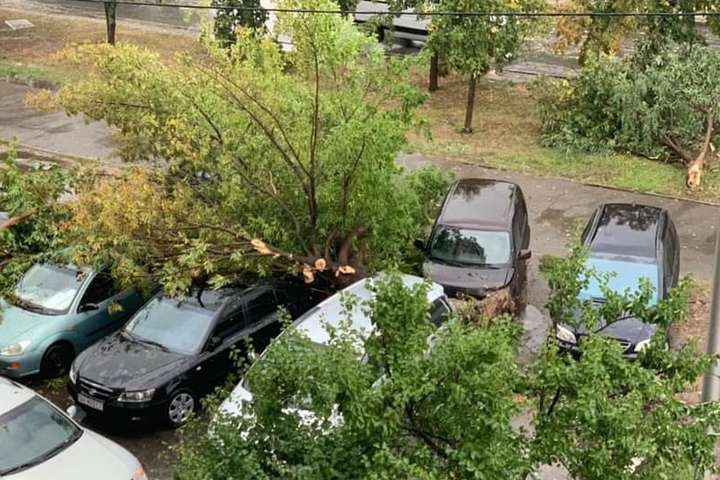 Повалені дерева, побиті автівки: негода наробила шкоди в Києві (фото)