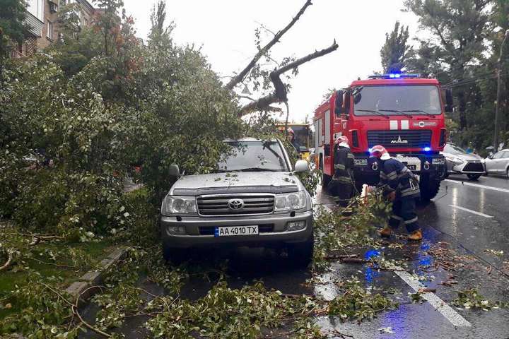 Ураган у Києві: рятувальники прибрали десять повалених дерев (фото, відео)