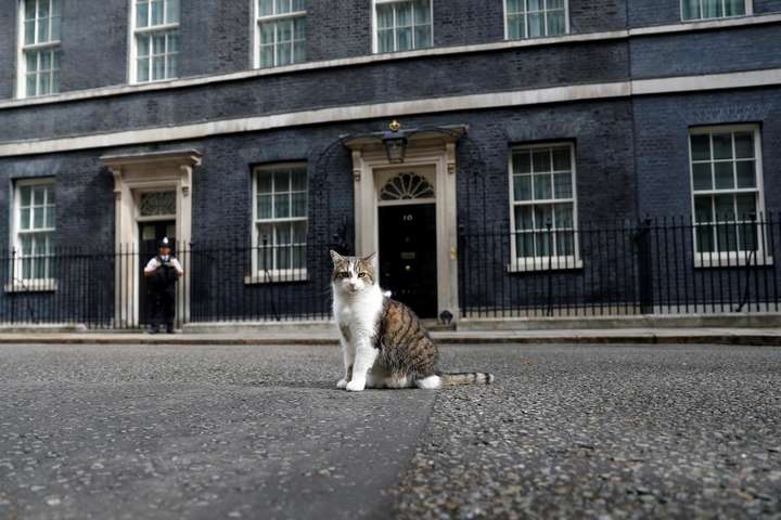 Прем'єр Британії привітав головного мишолова країни з Днем кота