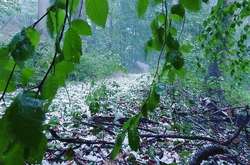 Погода на п'ятницю: синоптики попередили українців про дощі та грози