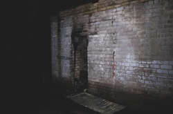 Пожежа виникла у нежитловій будівлі