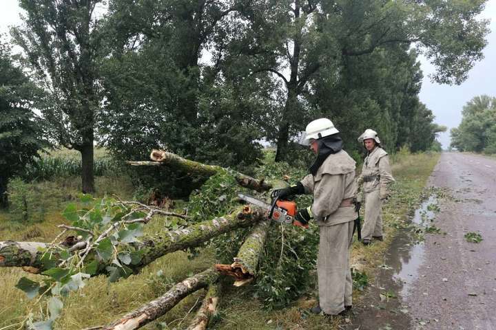 Зірвані дахи, повалені дерева: буревій наробив шкоди на Київщині