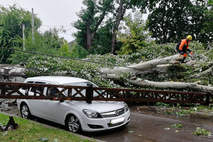 На Миколаївщині буревій повалив дерева і позривала дахи