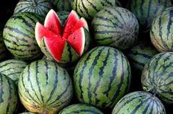 У Запоріжжі виявили кавуни, у яких різко зашкалював вміст нітратів 