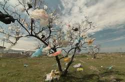 В уряді Німеччини працюють над забороною пластикових пакетів