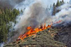 На Канарських островах горить близько тисячі гектарів лісу, проведено масову евакуацію
