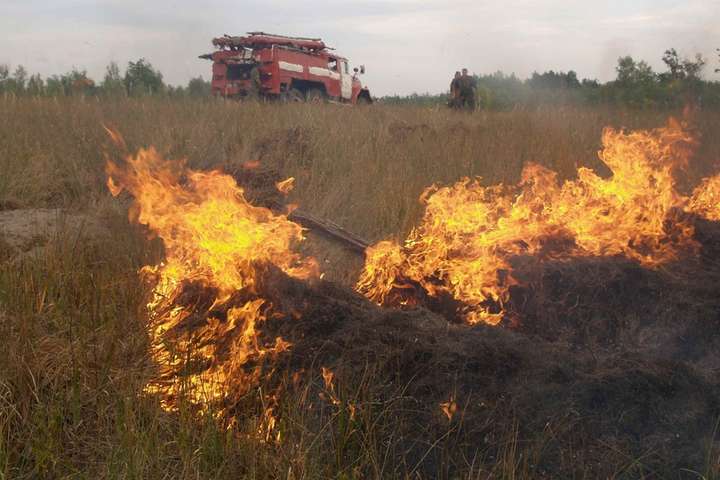 На Полтавщині горіло 30 гектарів сухої трави