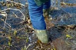 На Русанівці чоловік застряг у болоті