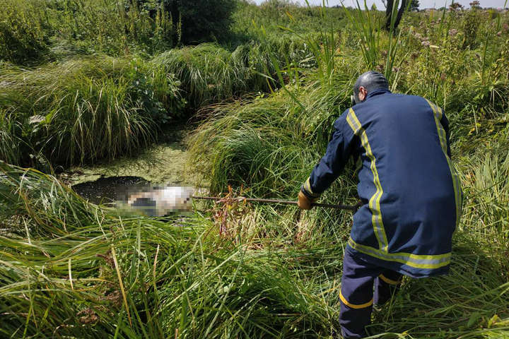 На річці на Київщині виявили тіло чоловіка (фото)