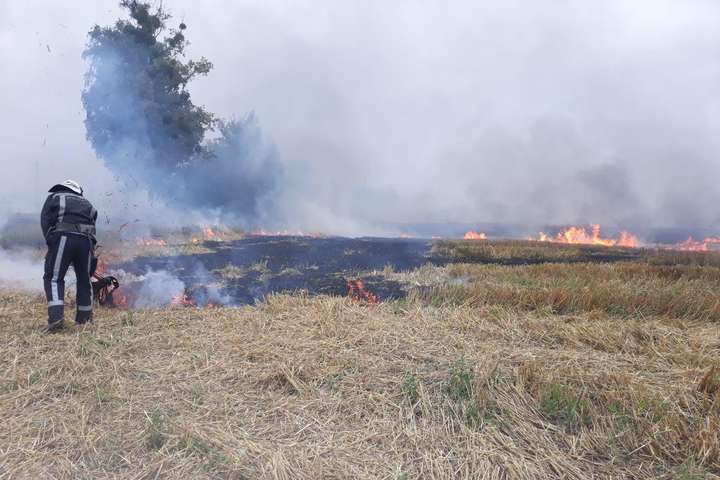 На полі на Київщині вигоріло 4 га стерні (фото)