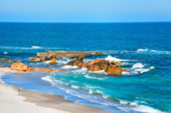 Оприлюднено стан якості води Чорного моря біля Одеси