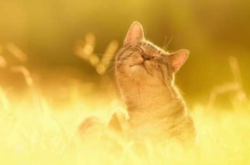 В Україні сьогодні очікується потепління