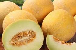 Фахівець розповіла, як правильно їсти диню