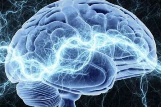 Вчені змогли омолодити старий мозок