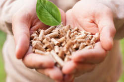 ЄІБ виділить $250 млн на розвиток аграрної інфраструктури в Україні