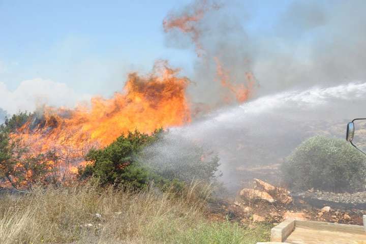 На Кіпрі дві лісові пожежі вийшли з-під контролю