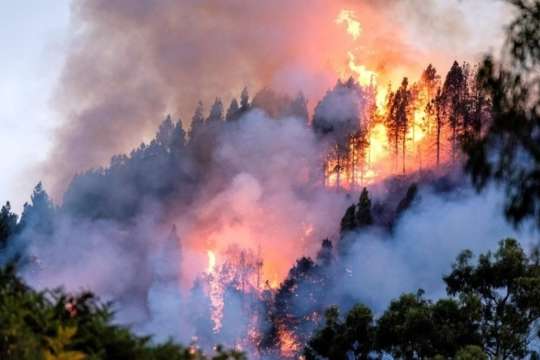 На Канарських островах через лісові пожежі вже евакуювали вісім тисяч людей