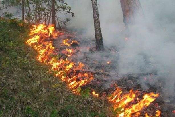 На Київщині оголошено надзвичайний рівень пожежної небезпеки