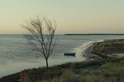 Украинский фильм «Домой» вошел в лонг-лист «европейского Оскара»