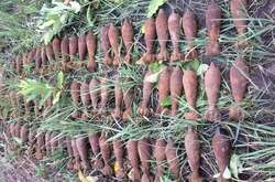 Піротехнічні групи виявили  49 мінометних мін Другої світової війни у с. Ходорів 