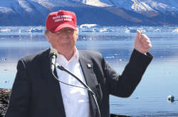 Washington Post узнал, сколько Трамп готов заплатить за Гренландию