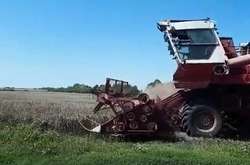 Збір врожаю СВК «Новоселицький» під загрозою