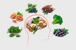 Минздрав назвал топ-10 продуктов для мозга