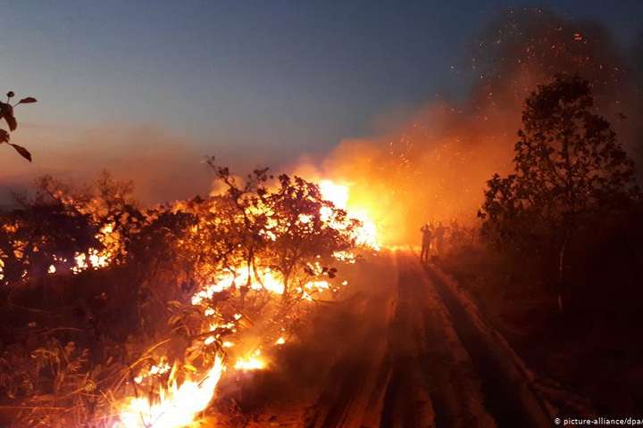 «Це війна»: президент Бразилії звинуватив екоактивістів у підпалі лісів